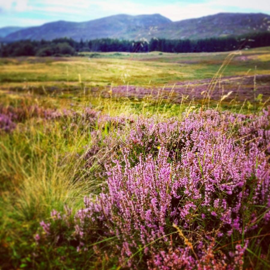 Baltinna East - By Where Stags Roar Newtonmore Exterior foto